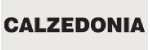 Calzedonia DE
