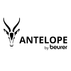 Antelope