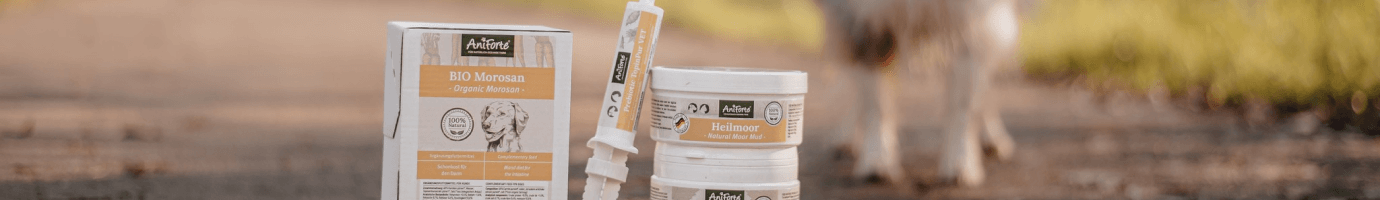 AniForte Cashback 3,6%*  Gutscheine & Rabatte
