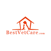 BestVetCare