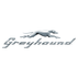 Greyhound